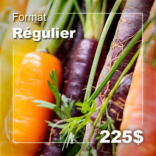 Format régulier - 225$