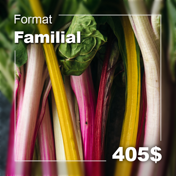 Format familial - 405$